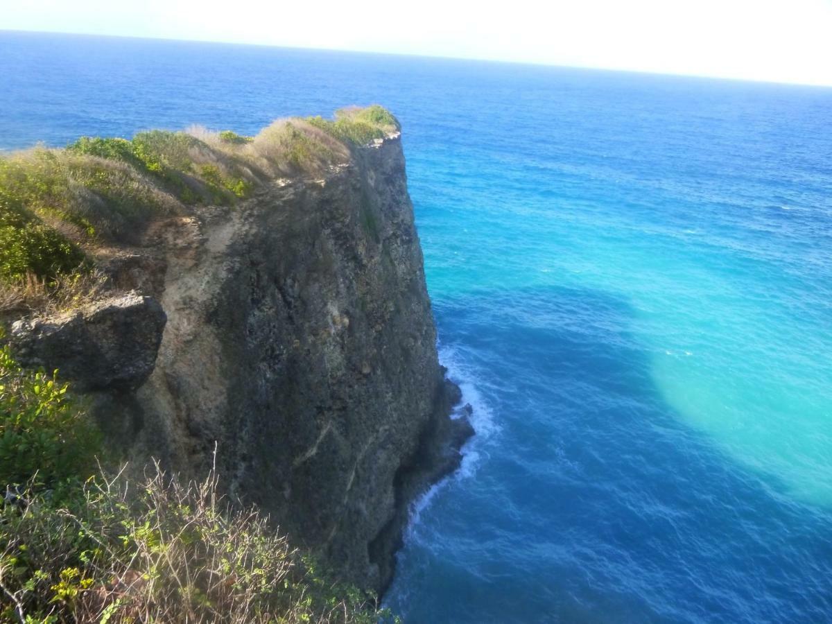 Les Gites Kajou Bouillante Exteriör bild