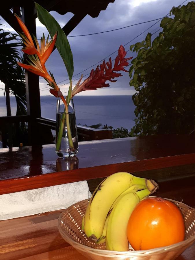 Les Gites Kajou Bouillante Exteriör bild